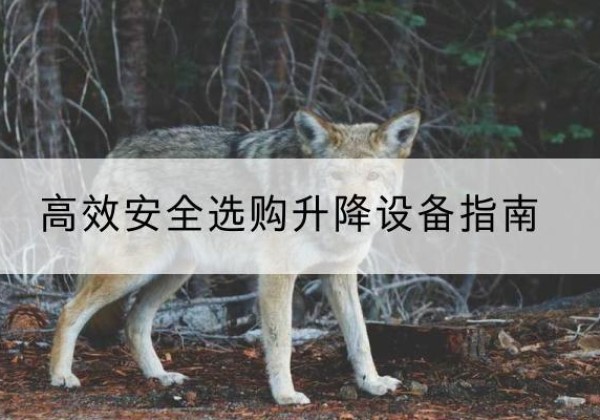 腾冲升降货梯厂家推荐-*安全选购升降设备指南