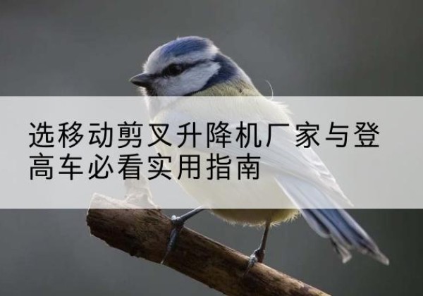 腾冲电动升降机厂家-选移动剪叉升降机厂家与登高车必看实用指南